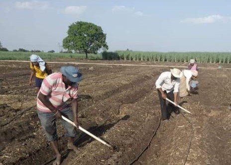 Farmer consultation